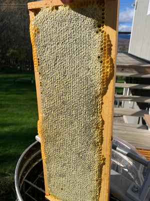 
                  
                    Honey Face Mask
                  
                