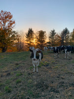 Woodard's Farm